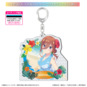 ����ʬ�βֲǡ� ���㥤�󥢥���륭���ۥ���� ����� 