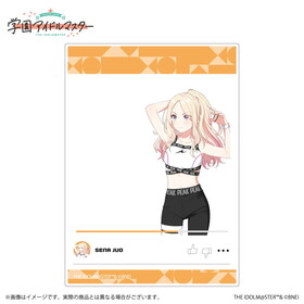 �رॢ���ɥ�ޥ����� �������ꥢ������ �������� B 