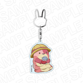 ᥤɥ󥢥ӥ β⶿ ۥ७ۥ ޥ 褦 ǥե ver. 