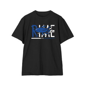 ػԷ档 ë ì ar-Unity ե TĥǥʥM 