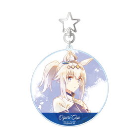 ����̼ ����ǥ�饰�쥤 �����ꥭ��å� Ani-Art aqua label BIG������륭���ۥ���� 