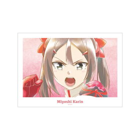 ͧͦԤǤ -ξ-  Ani-Art aqua label 2 A3ޥåȲùݥ ver.B 