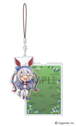 ����ץ����2