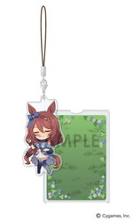 ����ץ����6