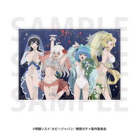 ̵�¥����� �������ѥͥ�  �ѥå���������