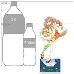 ����ץ����1