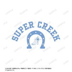 ����ץ����2