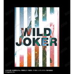 ����ץ����2