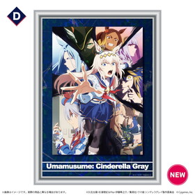 ����̼ ����ǥ�饰�쥤 �ۥ�����ॢ����/D  �ѥå���������