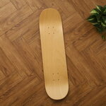 ����ץ����1