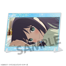 Ķ������ɱ�� A6�ӥ��奢�륢�����ץ졼�� ������/����  �ѥå���������