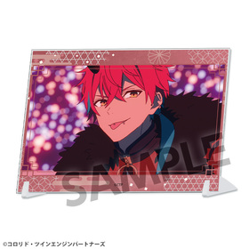 Ķ������ɱ�� A6�ӥ��奢�륢�����ץ졼�� �륢����  �ѥå���������