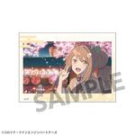 ����ץ����10