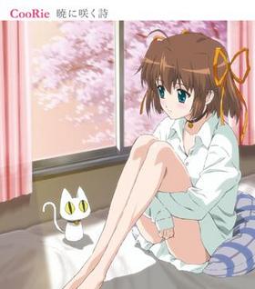 TV˥ D.C.S.S. ɥ EDΡֶǤ˺餯סCooRie 