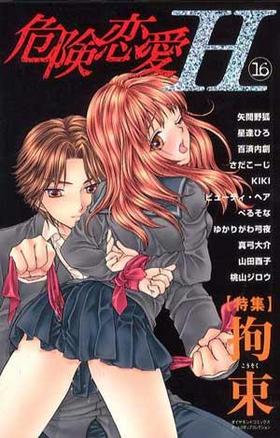 H 16 «ý 륺ݥåץ쥯