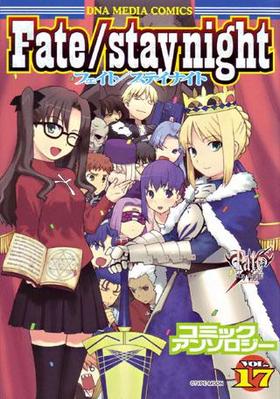 Fate/stay nightߥå󥽥Vol.17 DNAǥߥå