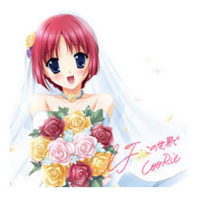 PS2 D.C.I.F.ݡΥȥեʡ OPơޡIFǡסCooRie 