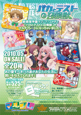 ХȥƥȤȾ ޥץ졼ȥ쥯1BOX 