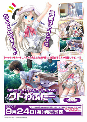 �֥��å��꡼ �ϥ��֥�åɥ����ɥ��쥯����� ���ɤ�դ�����1BOX�� 