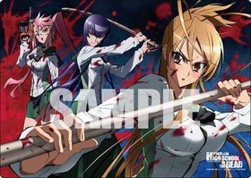 رۼϿ HIGHSCHOOL OF THE DEAD A3ꥢǥޥå  