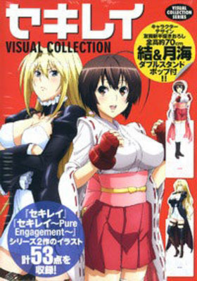 쥤 VISUAL COLLECTION ӥ奢륳쥯󥷥꡼