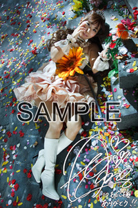 ����å��ǳ���