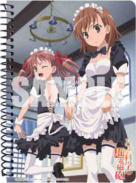 �Ȥ���ʳؤ�Ķ�ż�ˤ�ʥ졼�륬��� A6��󥰥Ρ��� �ᥤ���� 