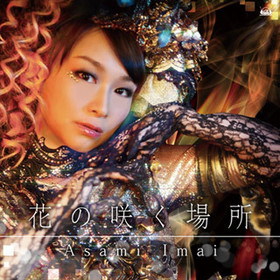 PSP ץѡƥ Book of Shadows OPơޡֲ֤κ餯[DVDս] 