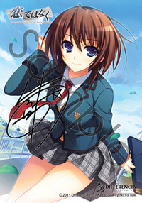 ����å��ǳ���