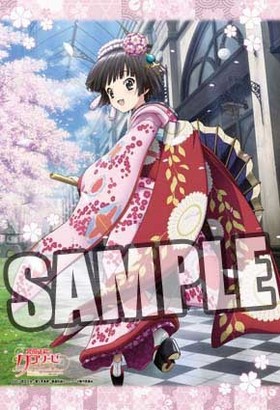 ۹ϩΥ The Animation ԥ 