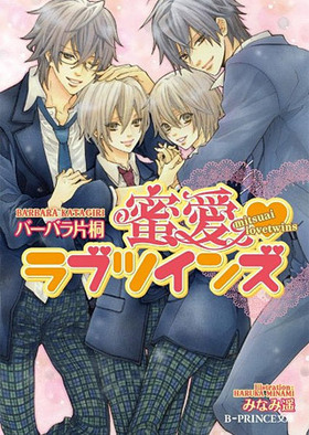 ̩֥ĥ B-PRINCEʸ