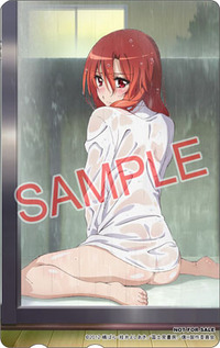 ����å��ǳ���