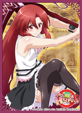 饯꡼֥쥯 ͤϡHǤʤ ꥵ顦쥹ȡ 