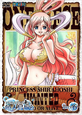 ONE PIECE ԡ 15th  piece.6 