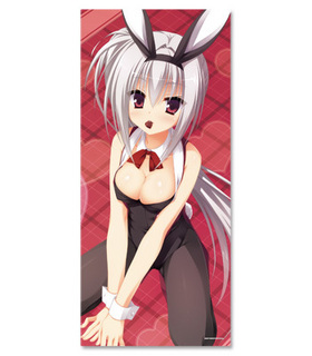 DRACU-RIOT���ʥɥ饯�ꥪ�åȡ� �ޥ������ե����С������� �����ver.2���󼡽в�ʬ�� 