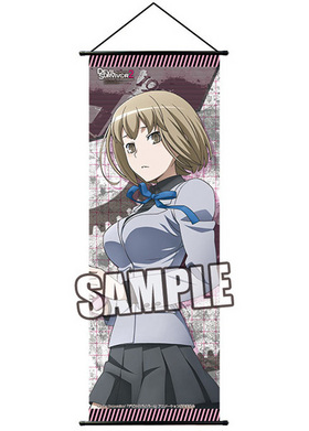 DEVIL SURVIVOR 2 the ANIMATION ॿڥȥ꡼ İݽ 