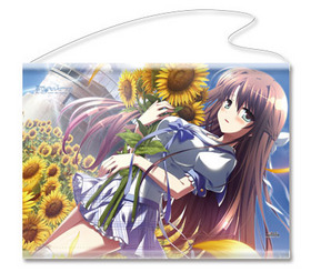 ƶΥڥ륻 ڥȥ꡼ D Ʃ󼡽вʬ 