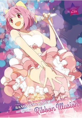 Τ starring 컳 2nd Concert 2014 Ribbon Illusion DVD ̾