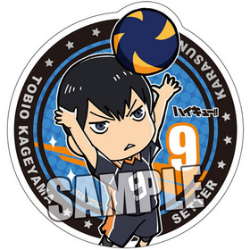 ϥ塼!! ޥͥåȥƥå ƻͺ 