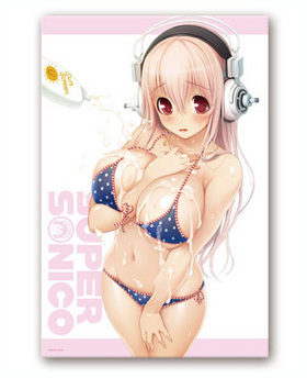 �����ѡ����˻� �ӥå��֥�󥱥å� B ���� 