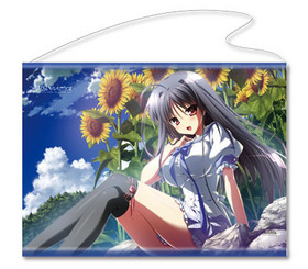 ƶΥڥ륻 ڥȥ꡼ B [] 