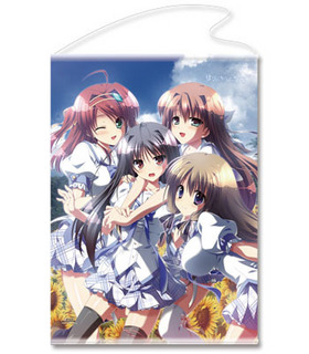 ƶΥڥ륻 ڥȥ꡼ A [] 