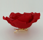 ����ץ����2