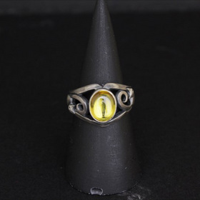 ǭʪ�� ǭ�δ��� ��19 