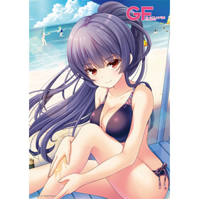 եɡʲ ѿCHU(B2) ں亽HR50󥭥ԥա 