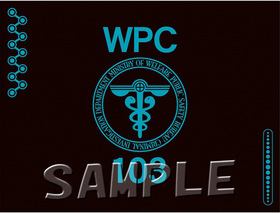 PSYCHO-PASS �������ѥ�2 �ץ졼���ޥå� ���¥ޡ��� 