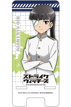 ���ȥ饤�������å����� Operation Victory Arrow ���ޡ��ȥե��󥹥���� ���� 