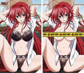 �ϥ���������D��D NEW �ꥢ���������꡼ Ω�Υ��å����[����] 