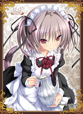 �ͤ��ͤäȥ����륺���꡼�֥��쥯����� Vol.040 �ϥԥᥢ �� 