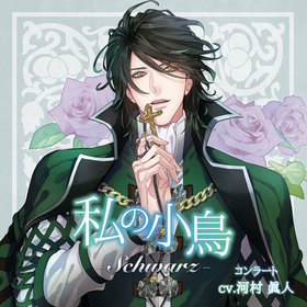 �ɥ��CD�ֻ�ξ�Ļ -Schwarz�ʥ���Х�ġ�-�ס�����顼�ȡ�CV����¼�ÿ͡� 